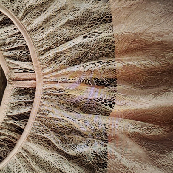 ADRIANNA PAPEL CHANTILLY LACE TIER DRESS SIZE 8 - Picture 5 of 8